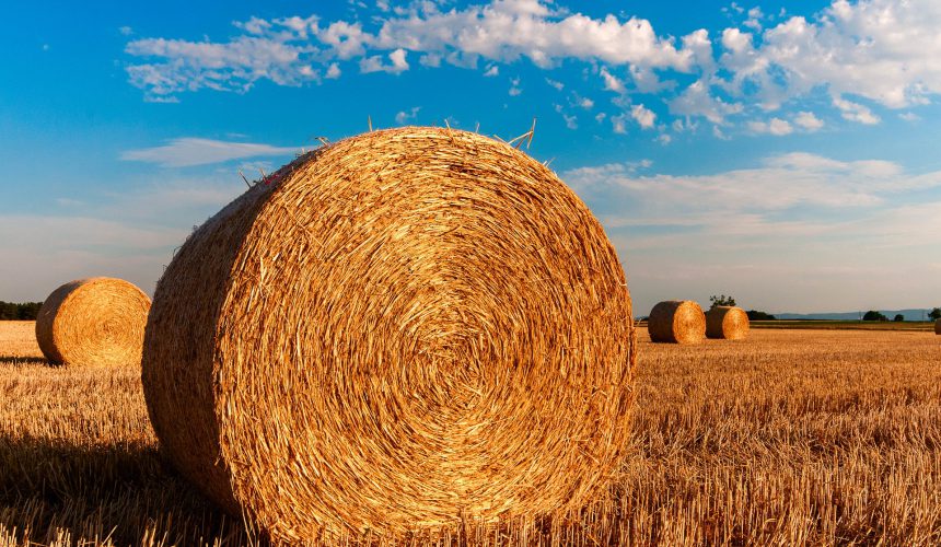 Sustainable agriculture roadmap